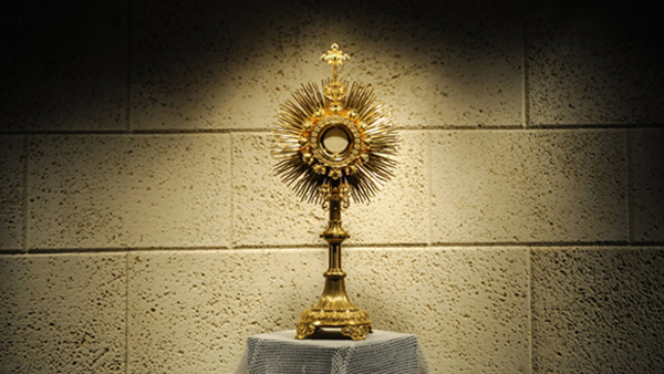 The Seven Sins Against the Holy&nbsp;Eucharist